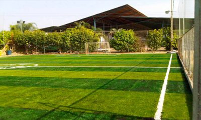 cesped sintetico deportivo de futbol
