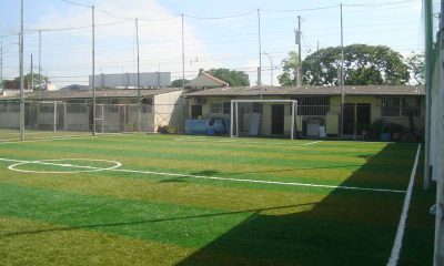 cesped sintetico deportivo de futbol